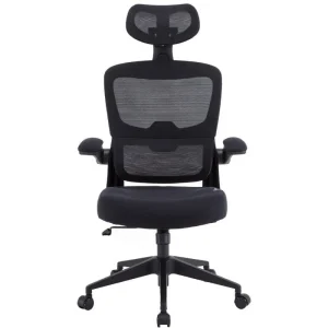Cadeira para Jogos Woxter Ergo / Preto