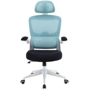Cadeira para Jogos Woxter Ergo / Azul