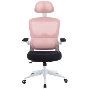 Cadeira para Jogos Woxter Ergo / Rosa